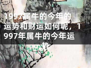 1997属牛的今年的运势和财运如何呢,1997年属牛的今年运势