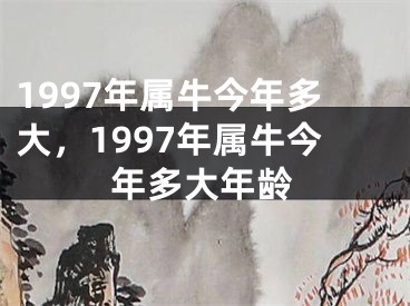 1997年属牛今年多大，1997年属牛今年多大年龄
