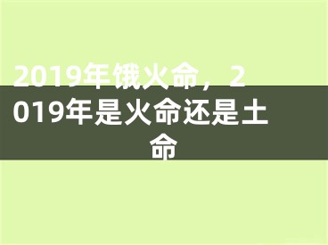 2019年饿火命,2019年是火命还是土命