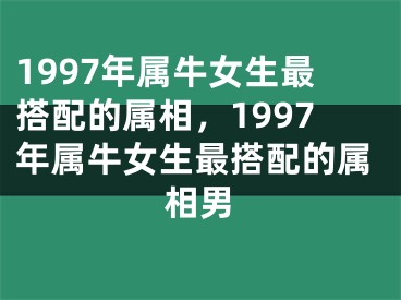 1997年属牛女生最搭配的属相，1997年属牛女生最搭配的属相男
