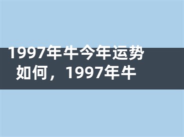 1997年牛今年运势如何，1997年牛