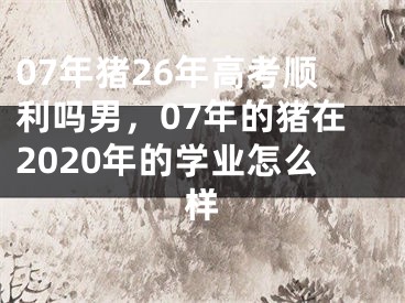 07年猪26年高考顺利吗男,07年的猪在2020年的学业怎么样