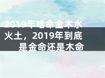 2019年啥命金木水火土，2019年到底是金命还是木命
