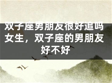 双子座男朋友很好追吗女生，双子座的男朋友好不好