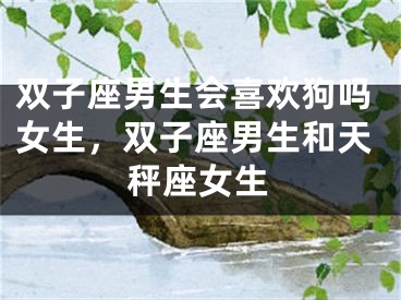 双子座男生会喜欢狗吗女生，双子座男生和天秤座女生
