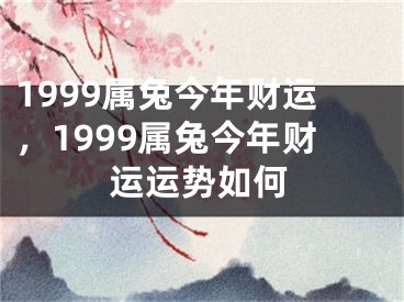 1999属兔今年财运,1999属兔今年财运运势如何