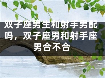 双子座男生和射手男配吗，双子座男和射手座男合不合
