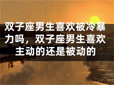 双子座男生喜欢被冷暴力吗，双子座男生喜欢主动的还是被动的