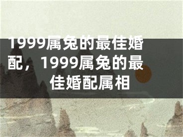 1999属兔的最佳婚配，1999属兔的最佳婚配属相