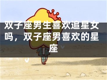 双子座男生喜欢追星女吗，双子座男喜欢的星座
