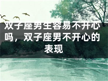 双子座男生容易不开心吗，双子座男不开心的表现