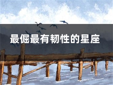 最倔最有韧性的星座