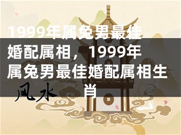 1999年属兔男最佳婚配属相，1999年属兔男最佳婚配属相生肖