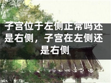 子宫位于左侧正常吗还是右侧，子宫在左侧还是右侧