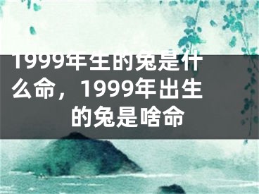 1999年生的兔是什么命,1999年出生的兔是啥命
