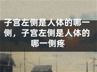 子宫左侧是人体的哪一侧，子宫左侧是人体的哪一侧疼