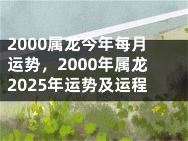 2000属龙今年每月运势，2000年属龙2025年运势及运程
