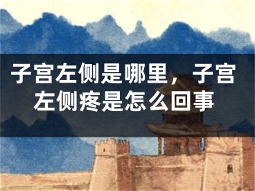 子宫左侧是哪里，子宫左侧疼是怎么回事