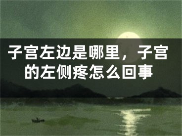 子宫左边是哪里，子宫的左侧疼怎么回事