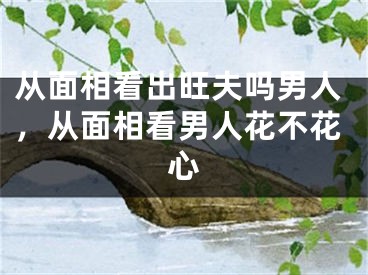 从面相看出旺夫吗男人，从面相看男人花不花心