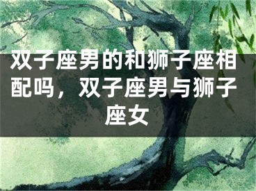 双子座男的和狮子座相配吗，双子座男与狮子座女