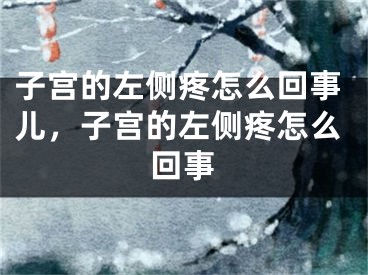 子宫的左侧疼怎么回事儿，子宫的左侧疼怎么回事