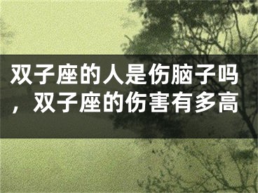双子座的人是伤脑子吗，双子座的伤害有多高