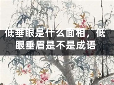 低垂眼是什么面相，低眼垂眉是不是成语