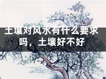 土壤对风水有什么要求吗，土壤好不好