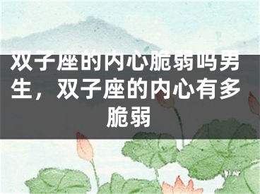 双子座的内心脆弱吗男生，双子座的内心有多脆弱