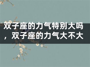 双子座的力气特别大吗，双子座的力气大不大