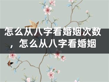 怎么从八字看婚姻次数，怎么从八字看婚姻