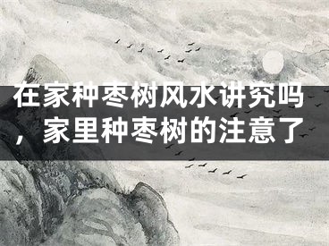 在家种枣树风水讲究吗，家里种枣树的注意了