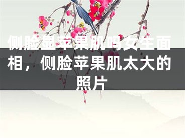 侧脸显苹果肌吗女生面相，侧脸苹果肌太大的照片