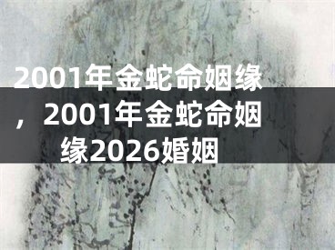 2001年金蛇命姻缘，2001年金蛇命姻缘2026婚姻