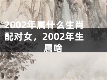2002年属什么生肖配对女,2002年生属啥