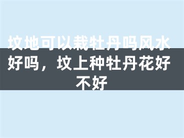 坟地可以栽牡丹吗风水好吗，坟上种牡丹花好不好