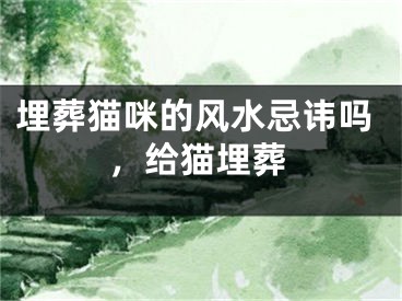 埋葬猫咪的风水忌讳吗，给猫埋葬