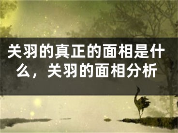 关羽的真正的面相是什么,关羽的面相分析