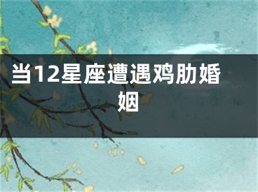 当12星座遭遇鸡肋婚姻