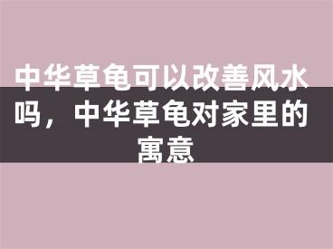 中华草龟可以改善风水吗，中华草龟对家里的寓意
