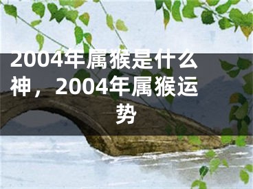 2004年属猴是什么神，2004年属猴运势