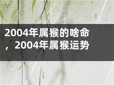 2004年属猴的啥命，2004年属猴运势