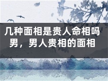 几种面相是贵人命相吗男，男人贵相的面相