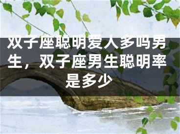 双子座聪明爱人多吗男生，双子座男生聪明率是多少