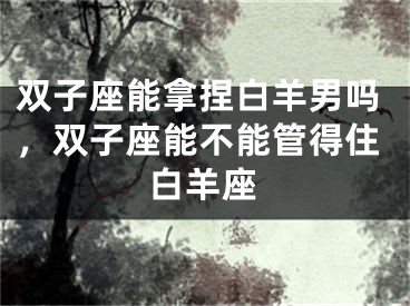 双子座能拿捏白羊男吗，双子座能不能管得住白羊座
