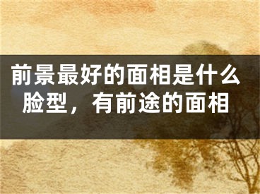 前景最好的面相是什么脸型，有前途的面相