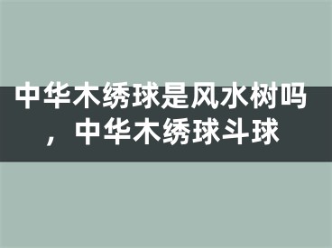 中华木绣球是风水树吗,中华木绣球斗球
