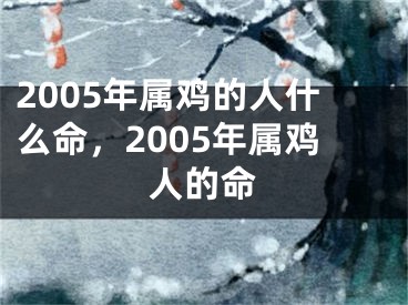 2005年属鸡的人什么命，2005年属鸡人的命