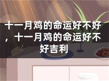 十一月鸡的命运好不好，十一月鸡的命运好不好吉利